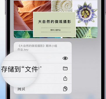 东阿apple维修中心分享iPhone文件应用中存储和找到下载文件