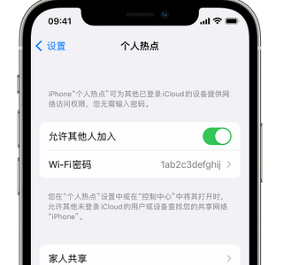 东阿apple服务站点分享iPhone上个人热点丢失了怎么办 