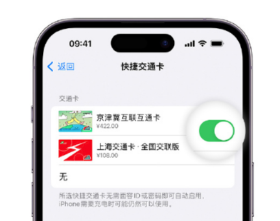 东阿apple维修点分享iPhone上更换Apple Pay快捷交通卡手绘卡面 