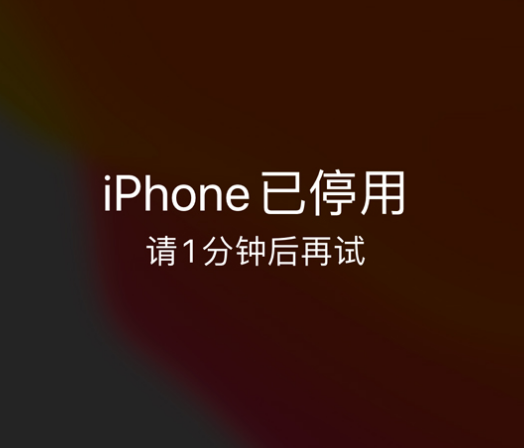 东阿苹果手机维修分享:iPhone 显示“不可用”或“已停用”怎么办？还能保留数据吗？ 