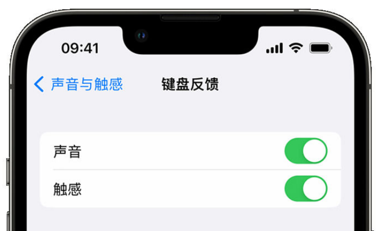 东阿苹果手机维修分享iPhone 14触感键盘使用方法 