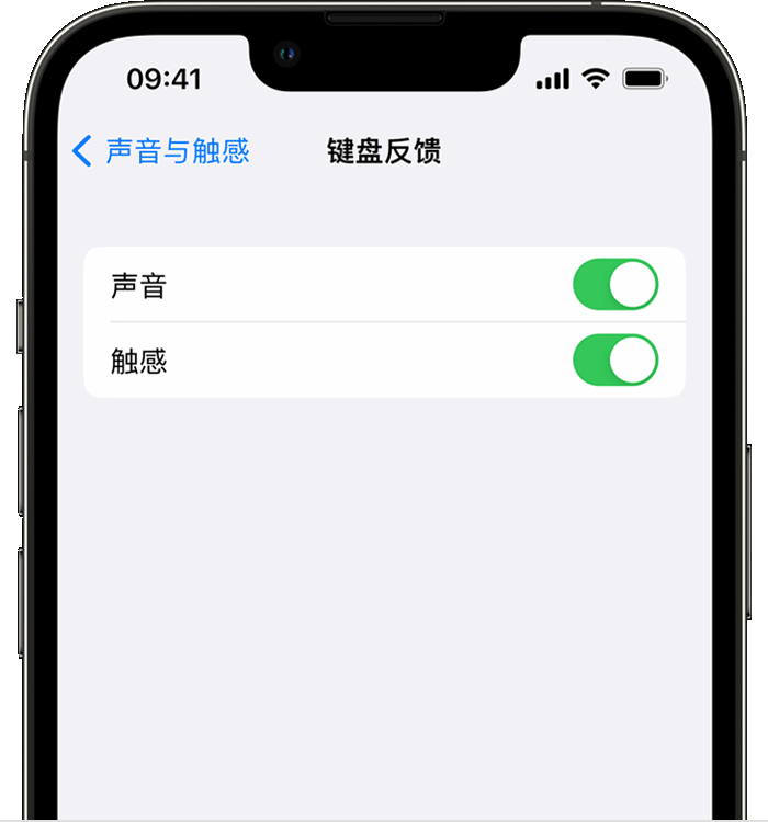 东阿苹果14维修店分享如何在 iPhone 14 机型中使用触感键盘 