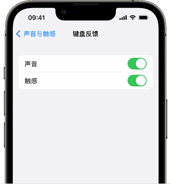东阿苹果14维修分享iPhone 14 系列机型如何开启键盘声音或触感反馈 