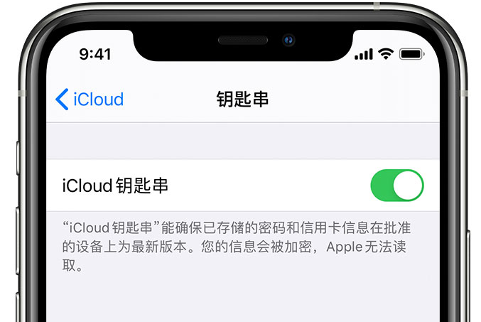 东阿苹果手机维修分享在 iPhone 上开启 iCloud 钥匙串之后会储存哪些信息 