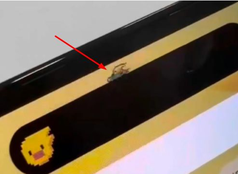 东阿苹果14维修分享iPhone 14 Pro Max灵动岛怎么养宠物 