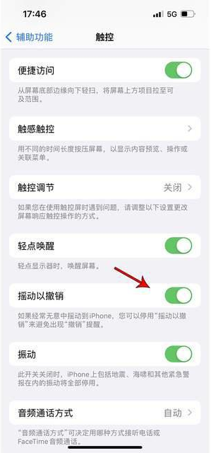 东阿苹果手机维修分享iPhone手机如何设置摇一摇删除文字 