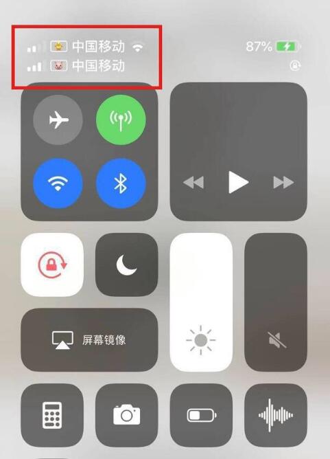 东阿苹果手机维修分享为 iPhone 12 双卡设置标签 