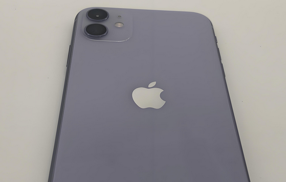 东阿苹果11系统维修分享iPhone11手机系统崩溃无法开机如何解决 